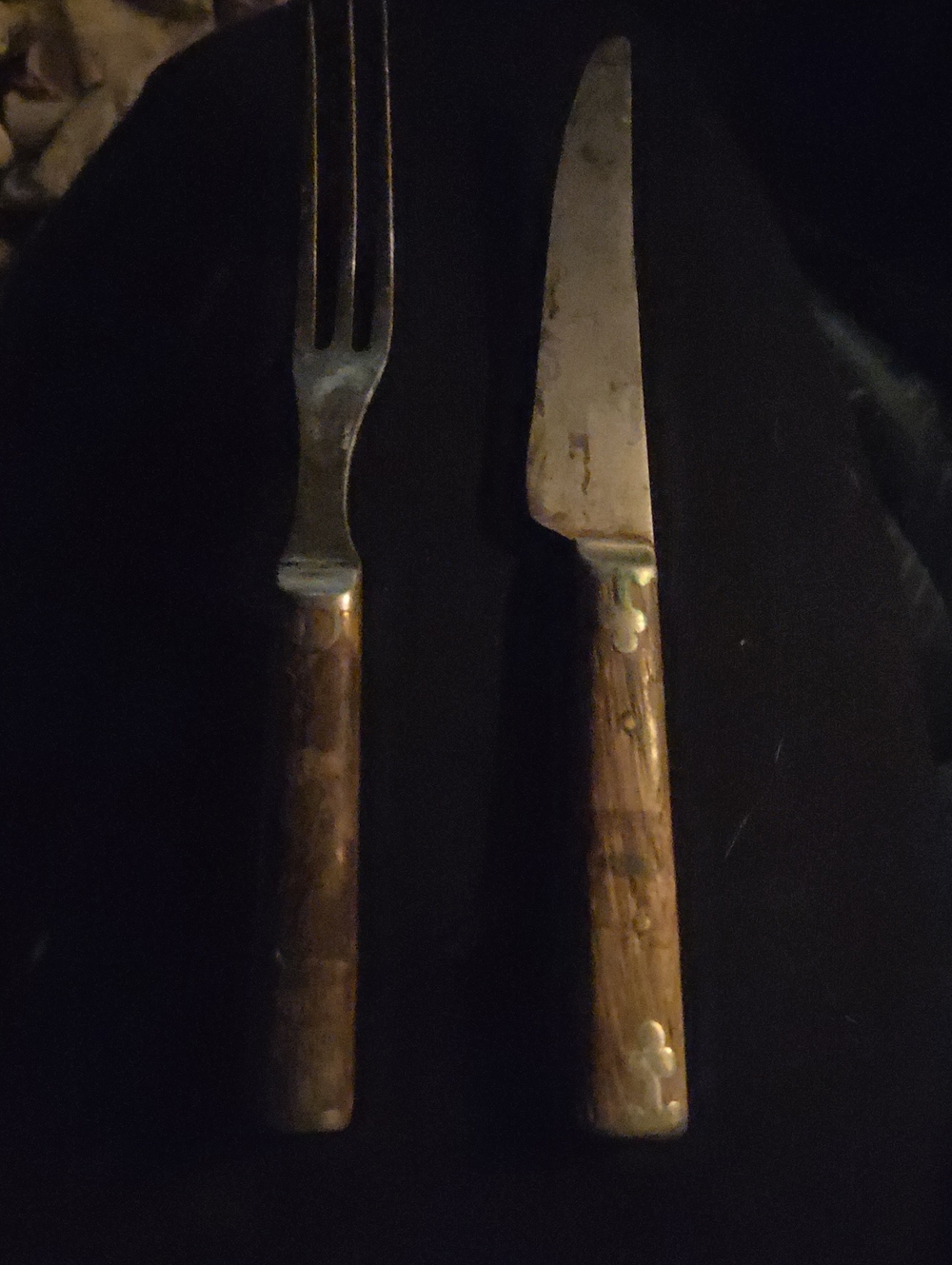 Wood-Handled Dinner Knife and Fork Set - Brown Civil War Really Old